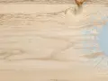 Texture de bois clair avec un motif abstrait bleu clair rappelant un saturateur bois intérieur.