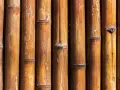 Texture de bambou brun, idéal pour apprendre comment nettoyer du bambou noirci.