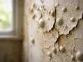 Peinture qui cloque sur un mur extérieur, révélant des bulles et des fissures, signe de dégradation.