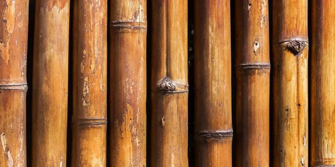 Texture de bambou brun, idéal pour apprendre comment nettoyer du bambou noirci.
