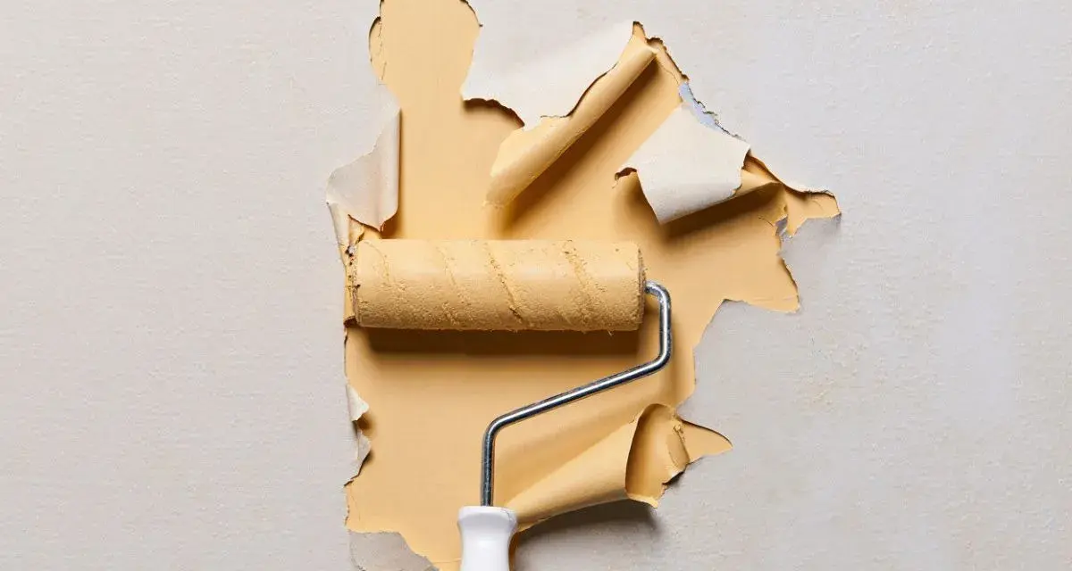 Un rouleau à peinture jaune révèle un mur où l'enduit ne tient pas, se décollant en lambeaux.
