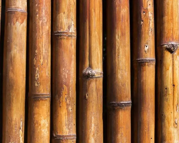 Texture de bambou brun, idéal pour apprendre comment nettoyer du bambou noirci.