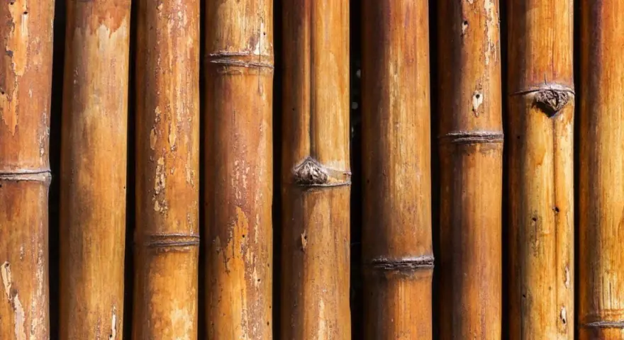 Texture de bambou brun, idéal pour apprendre comment nettoyer du bambou noirci.