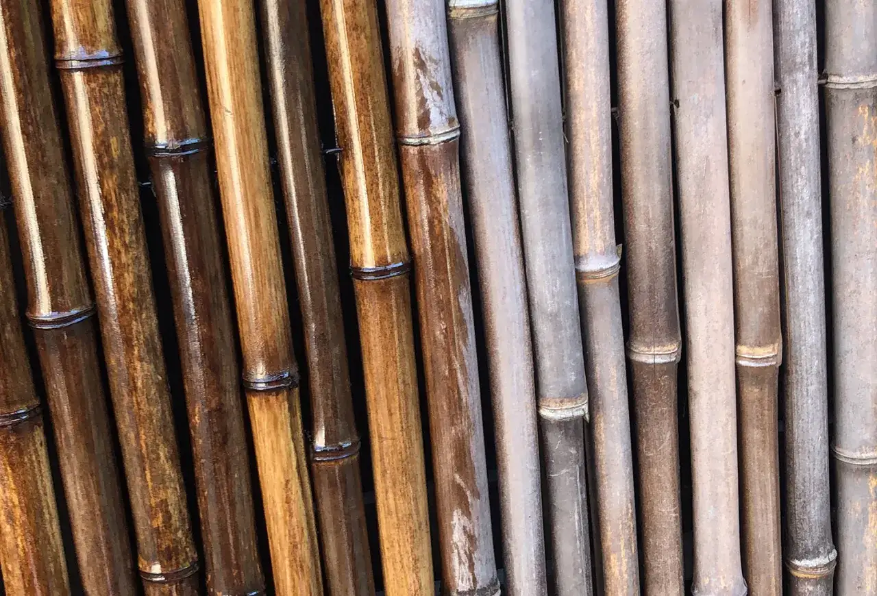 Des bambous foncés et clairs, certains lustrés, d'autres patinés. Une texture naturelle pour apprendre comment nettoyer du bambou noirci.