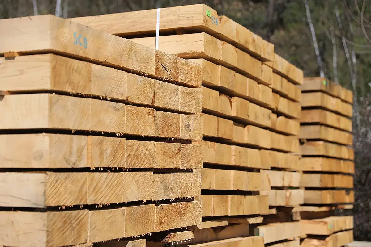 Piles de poutres de bois brut, témoignant de la qualité du bois. Les grains fins et la couleur claire suggèrent une essence noble, prête à être transformée.